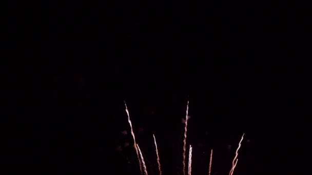 Images Rapprochées Feux Artifice Explosant Dans Ciel Nocturne — Video