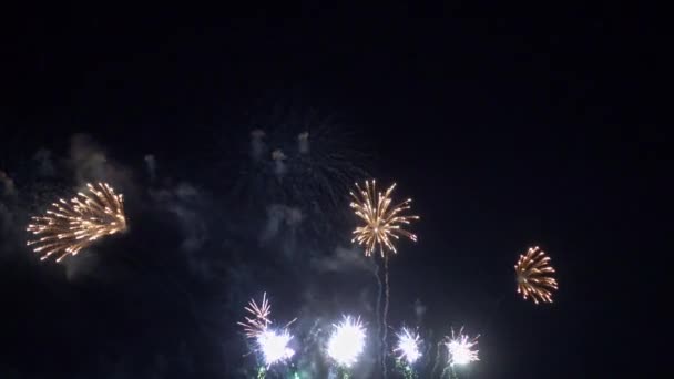 Imagens Perto Fogos Artifício Explodindo Céu Noturno — Vídeo de Stock