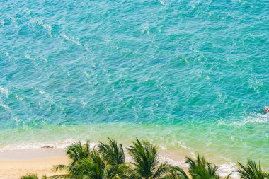 Güzel hindistan cevizi palmiyesi ve yapraklı deniz okyanusu