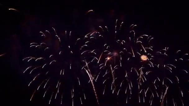 Imagens Perto Fogos Artifício Explodindo Céu Noturno — Vídeo de Stock