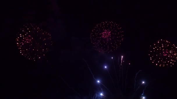 Imagens Perto Fogos Artifício Explodindo Céu Noturno — Vídeo de Stock