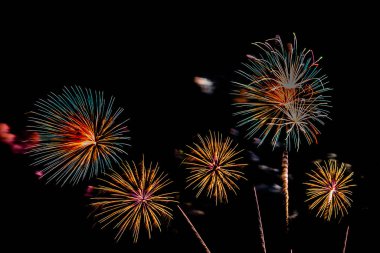 Kutlama için güzel renkli havai fişek gösterisi