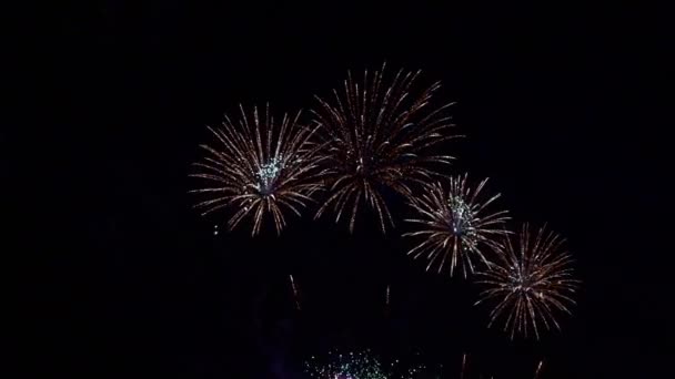 Imagens Perto Fogos Artifício Explodindo Céu Noturno — Vídeo de Stock