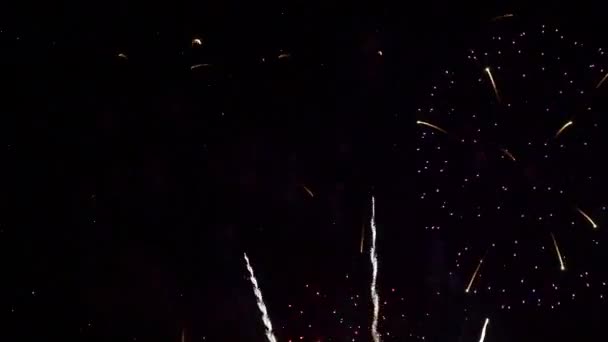 Images Rapprochées Feux Artifice Explosant Dans Ciel Nocturne — Video