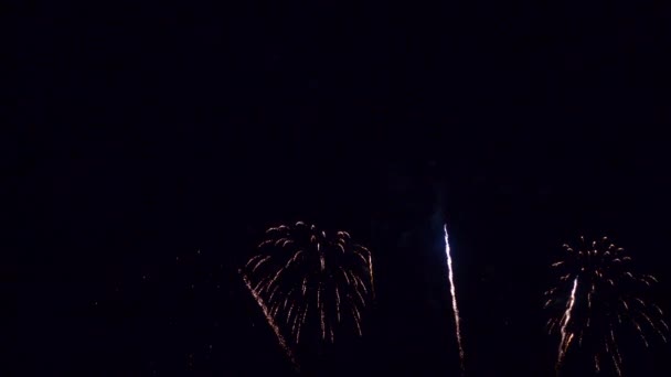 Close Footage Fireworks Exploding Night Sky — Stock Video