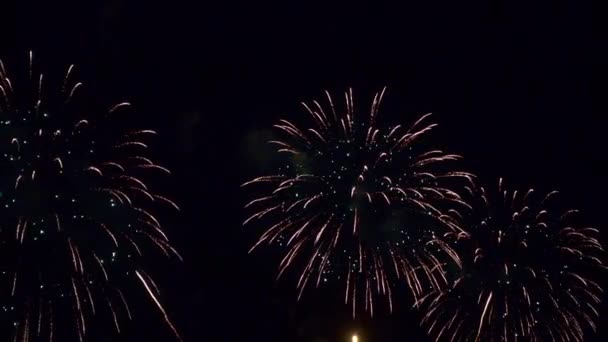 Imagens Perto Fogos Artifício Explodindo Céu Noturno — Vídeo de Stock