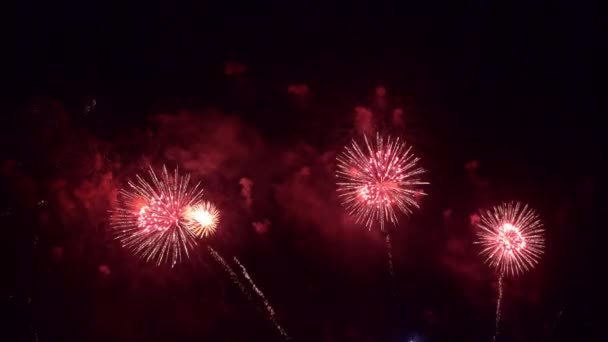 Riprese Ravvicinate Fuochi Artificio Che Esplodono Nel Cielo Notturno — Video Stock
