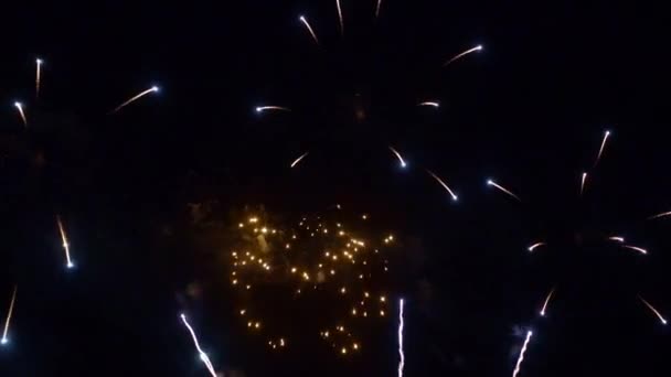 images rapprochées de feux d'artifice explosant dans le ciel nocturne