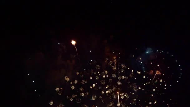Imágenes Cerca Fuegos Artificiales Que Explotan Cielo Nocturno — Vídeo de stock