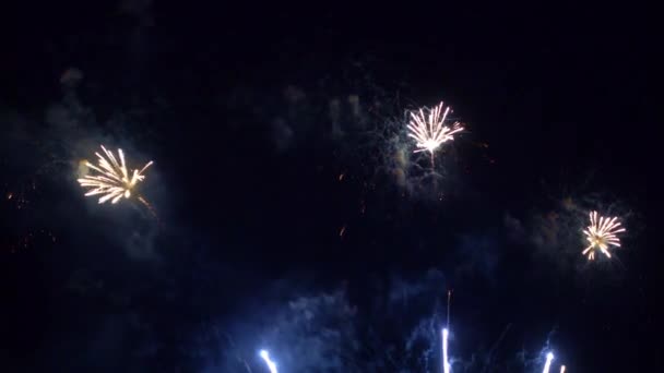 Imagens Perto Fogos Artifício Explodindo Céu Noturno — Vídeo de Stock