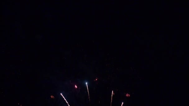 Közeli Felvétel Tűzijátékról Amint Felrobban Éjszakai Égen — Stock videók