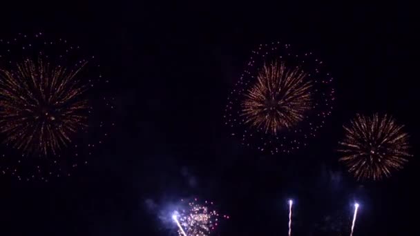 Close Upbeelden Van Vuurwerk Dat Ontploft Nachtelijke Hemel — Stockvideo