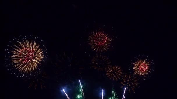 Close Footage Fireworks Exploding Night Sky — Stock Video