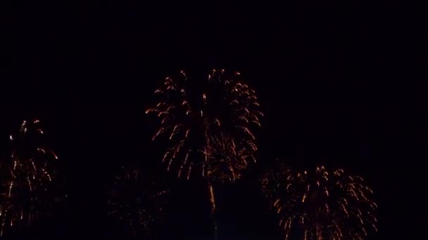 images rapprochées de feux d'artifice explosant dans le ciel nocturne