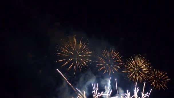 在夜空中烟火爆炸的特写镜头 — 图库视频影像