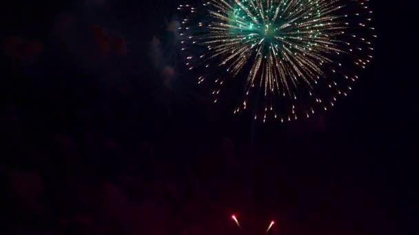 Images Rapprochées Feux Artifice Explosant Dans Ciel Nocturne — Video