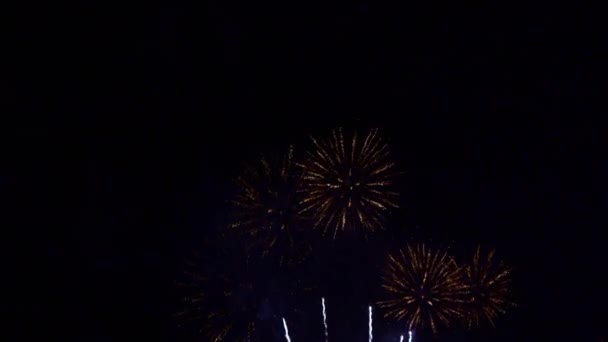 Imágenes Cerca Fuegos Artificiales Que Explotan Cielo Nocturno — Vídeos de Stock