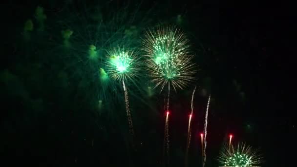 Imagens Perto Fogos Artifício Explodindo Céu Noturno — Vídeo de Stock