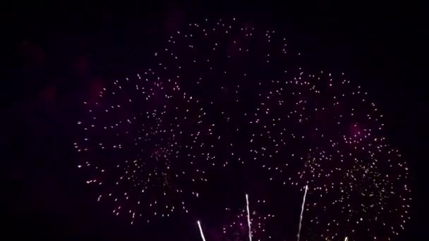 Close Footage Fireworks Exploding Night Sky — Stock Video