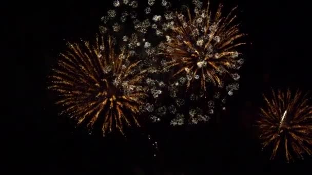 Images Rapprochées Feux Artifice Explosant Dans Ciel Nocturne — Video