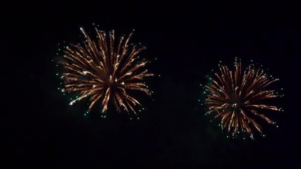 Imagens Perto Fogos Artifício Explodindo Céu Noturno — Vídeo de Stock