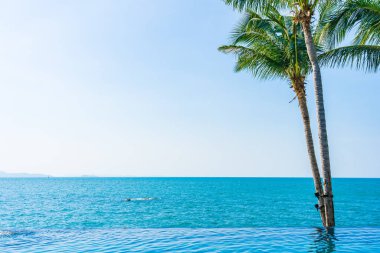 Otelin havuzunda hindistan cevizi palmiyeli lüks bir yüzme havuzu.