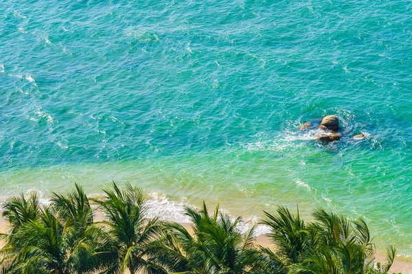 Hermosa palmera de coco y hoja con mar océano — Foto de Stock