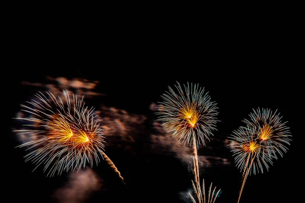 Bellissimo spettacolo pirotecnico colorato di notte per festeggiare — Foto Stock