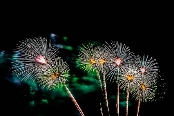 Schönes buntes Feuerwerk in der Nacht zum Feiern — Stockfoto