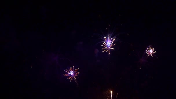 Nahaufnahmen Von Feuerwerk Das Nachthimmel Explodiert — Stockvideo