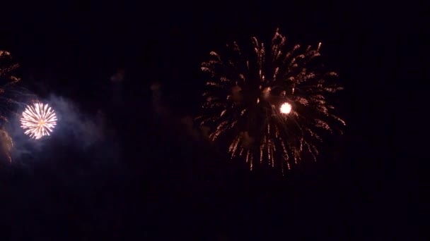 Images Rapprochées Feux Artifice Explosant Dans Ciel Nocturne — Video