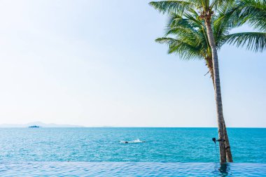 Otelin havuzunda hindistan cevizi palmiyeli lüks bir yüzme havuzu.