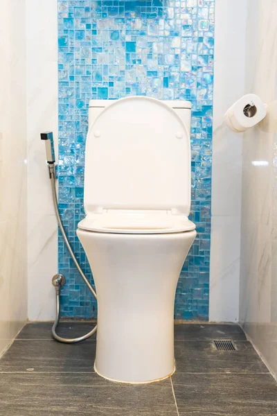 Branco vaso sanitário e assento decoração interior — Fotografia de Stock