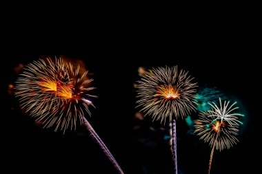 Kutlama için güzel renkli havai fişek gösterisi