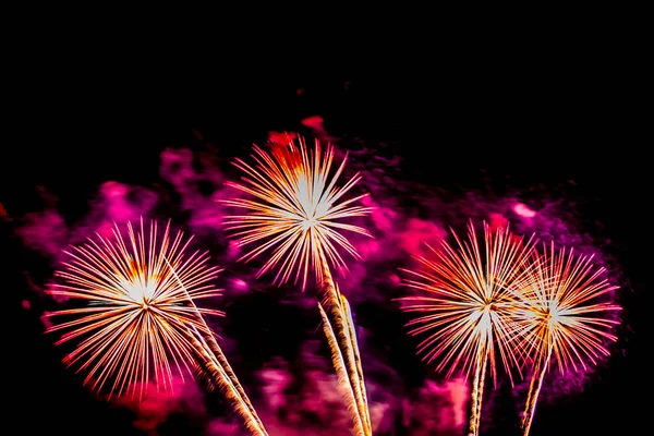 Beautiful colorful firework display at night for celebrate — Stock Photo, Image