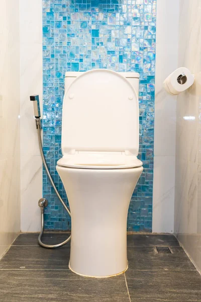 Branco vaso sanitário e assento decoração interior — Fotografia de Stock
