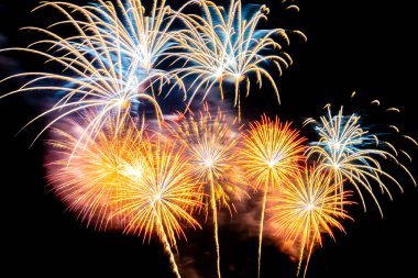 Kutlama için güzel renkli havai fişek gösterisi