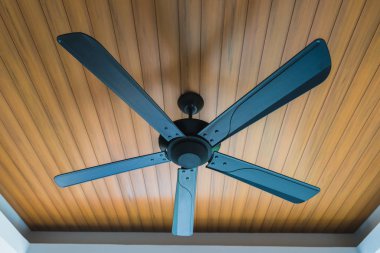 Siyah elektrikli tavan vantilatör dekorasyonu