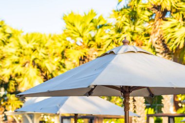 Güneş batarken veya gün doğarken sahil okyanusu etrafında palmiye ağaçları olan güzel tropikal doğa şemsiyesi.