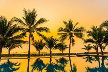 Güzel doğa, açık havuz çevresindeki palmiye ağaçları oteldeki tatil beldesinde, neredeyse deniz kıyısında.