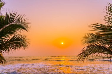 Güneşin doğuşunda ve batışında okyanus kıyısında palmiye ağaçları olan güzel bir doğa.
