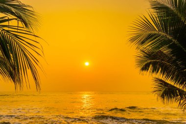 Güneşin doğuşunda ve batışında okyanus kıyısında palmiye ağaçları olan güzel bir doğa.