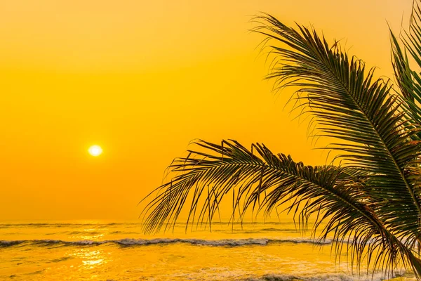 Schöne Natur Mit Palmen Rund Meer Ozean Strand Bei Sonnenuntergang — Stockfoto