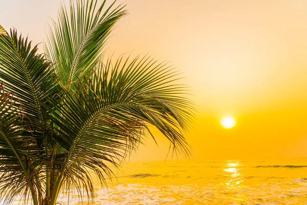 Schöne Natur Mit Palmen Rund Meer Ozean Strand Bei Sonnenuntergang — Stockfoto