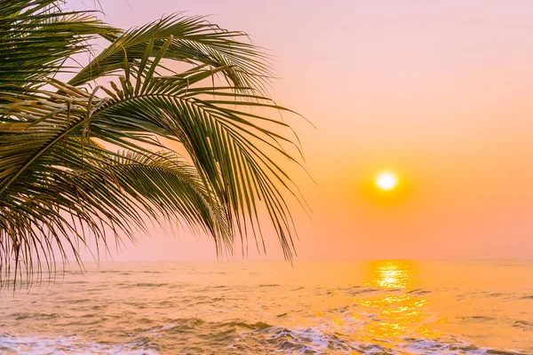 Schöne Natur Mit Palmen Rund Meer Ozean Strand Bei Sonnenuntergang — Stockfoto