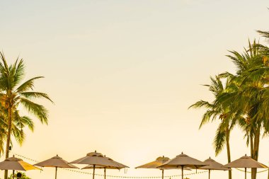Güneş batarken veya gün doğarken sahil okyanusu etrafında palmiye ağaçları olan güzel tropikal doğa şemsiyesi.