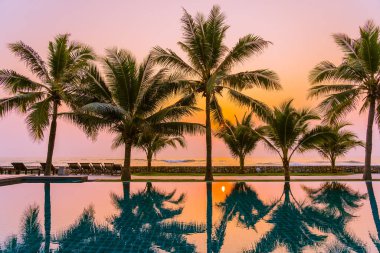 Güzel doğa, açık havuz çevresindeki palmiye ağaçları oteldeki tatil beldesinde, neredeyse deniz kıyısında.