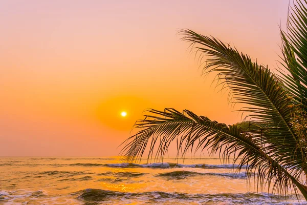 Schöne Natur Mit Palmen Rund Meer Ozean Strand Bei Sonnenuntergang — Stockfoto