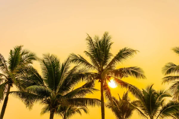 Schöne Natur Mit Palmen Rund Meer Ozean Strand Bei Sonnenuntergang — Stockfoto