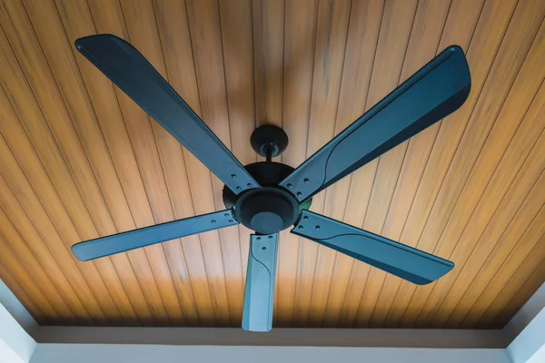 Black Electric ceiling fan decoration interior of room